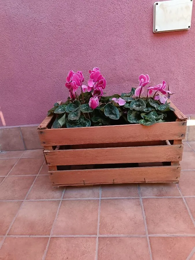 Peppe'S House Apartment Gravina di Catania